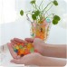Doitsa Water Beads Sooper Beads Crystal Water Jelly Gel Bead Used For Kids Tactile Sensory Experience,Vase Filler Soil Plant decoration Bamboo Plants Rainbow Mix1000 Beads B074177NMK